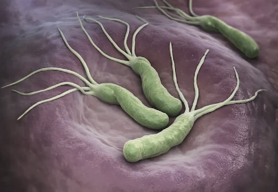 H.pulori: Impacto, Diagnóstico e Tratamento